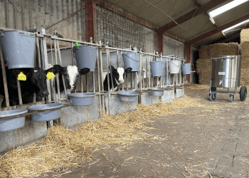 Betere voeding voor uw kalveren/varkens met een melkmenger