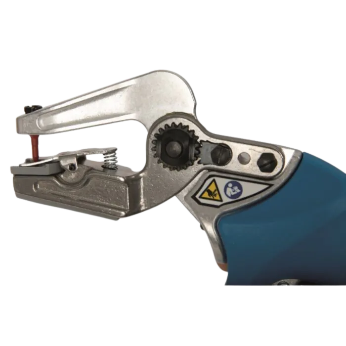 4100007_1