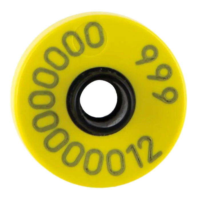 452805541_0