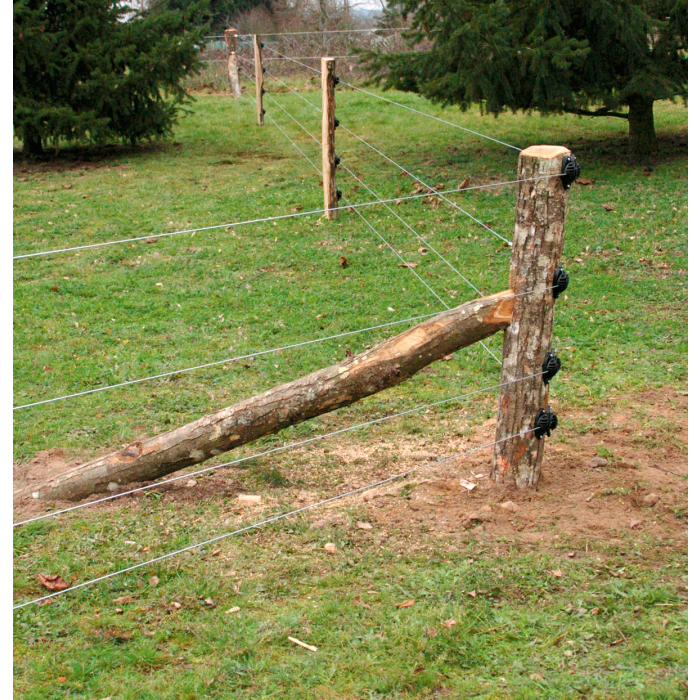 183000022_0 183000022_0