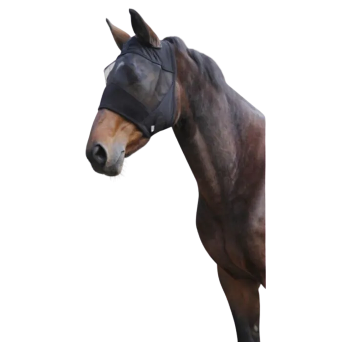 4100043_0