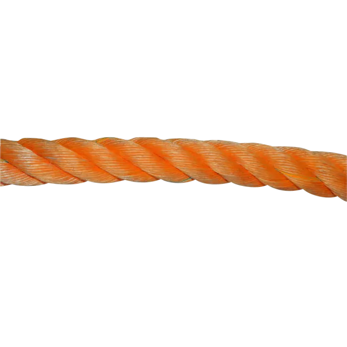 505254_0