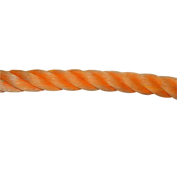505248_0