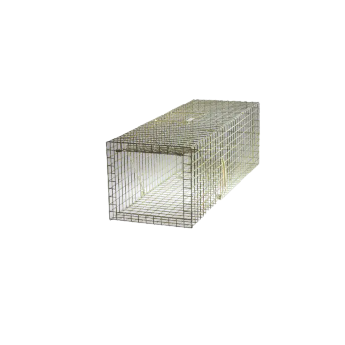 122310_1