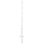 135970_0