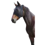 4100043_0