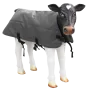 141426_0