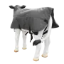 141426_1