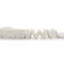 1103631_1
