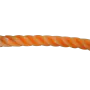 505248_0