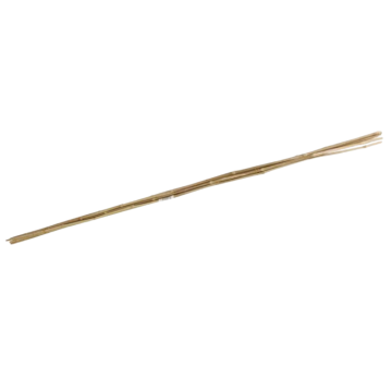 Talen Tools Bamboestokken | diverse lengtes