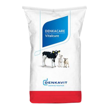 Denkacare Vitalcure | ondersteuning immuunsysteem | 20kg