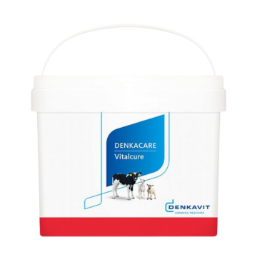 Denkacare Vitalcure | ondersteuning immuunsysteem | 5kg
