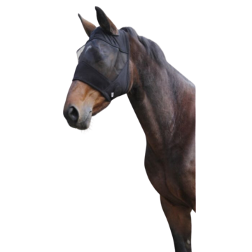 4100042_0
