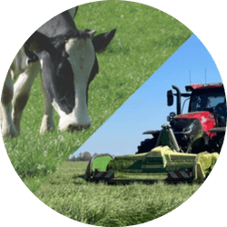 Graszaad voor maaien en weiden