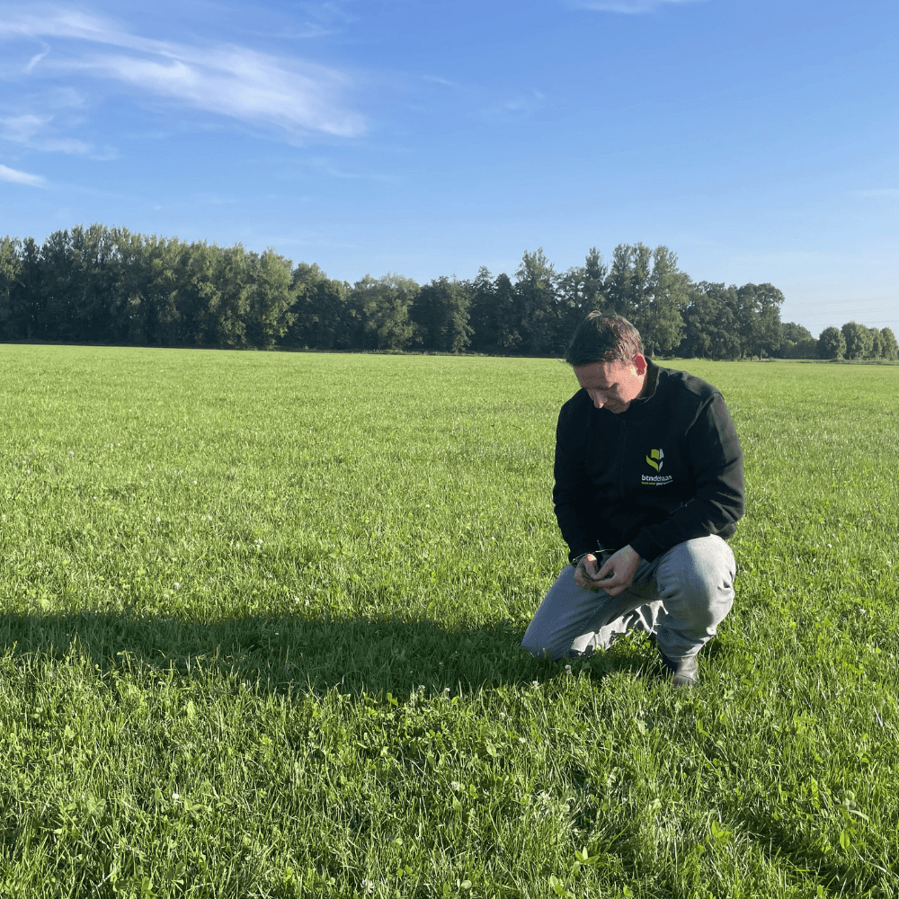 Wout: specialist graszaden Wout: specialist graszaden